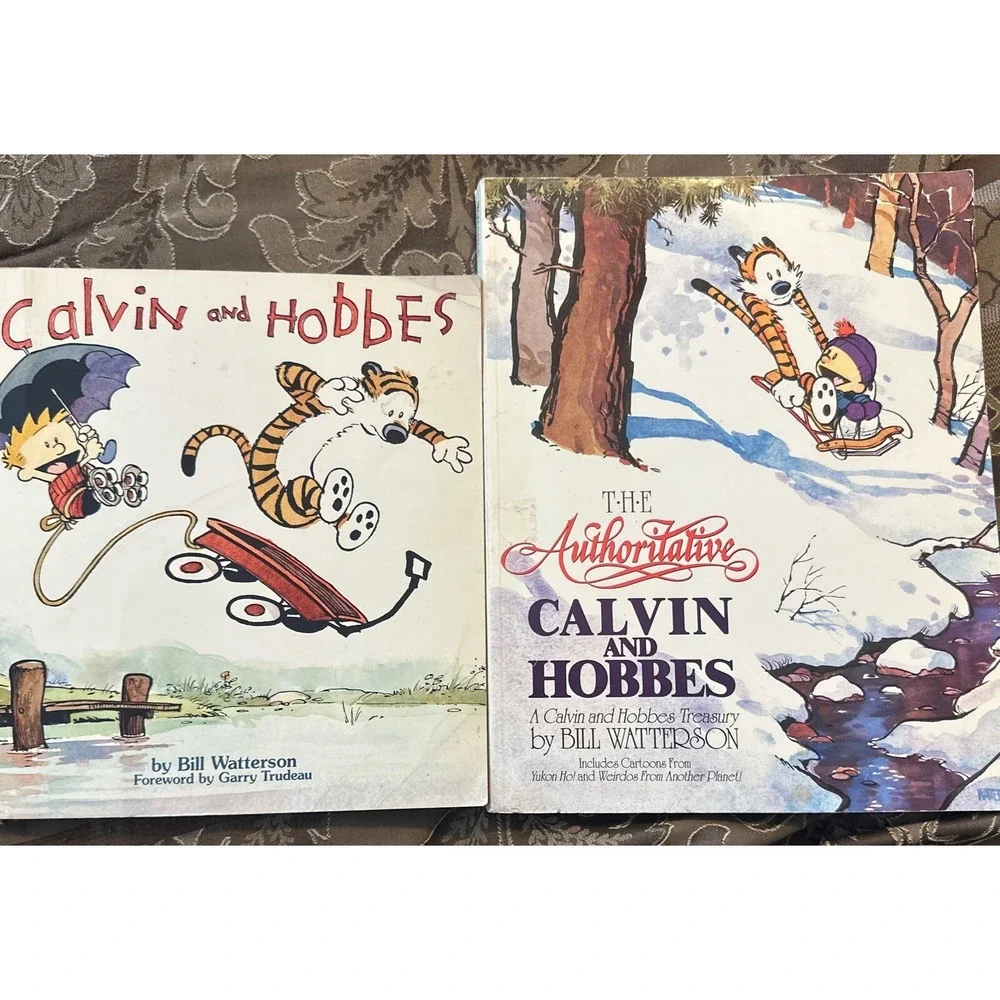Calvin and Hobbes: A Calvin and Hobbes 2 Children's graphic novel Books